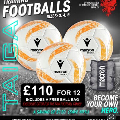 Taiga Training Ball Bundle X 12 (Affiliate Club Deal) Thumbnail