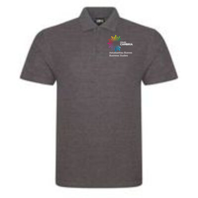 Business Studies - Coleg Cambria RX Polo Thumbnail