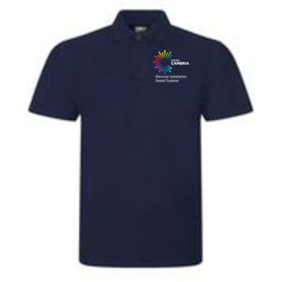 Electrical Installation - Coleg Cambria RX Polo Thumbnail