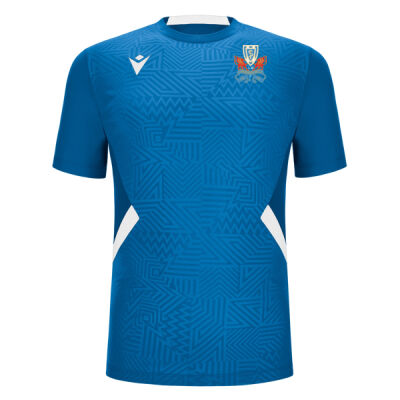 Llandrindod Wells JNR - Shedir Training Match Day Shirt JR Thumbnail