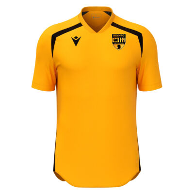 Brymbo Steelmen  - Wyrm Shirt SR Thumbnail