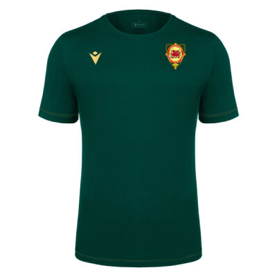Llansantffraid FC - Boost Eco Sustainable Cotton Jersey T-Shirt SR Thumbnail