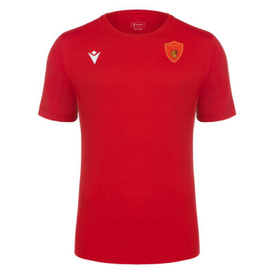 Marchwiel Saints - Boost Eco Sustainable Cotton Jersey T-Shirt JR Thumbnail